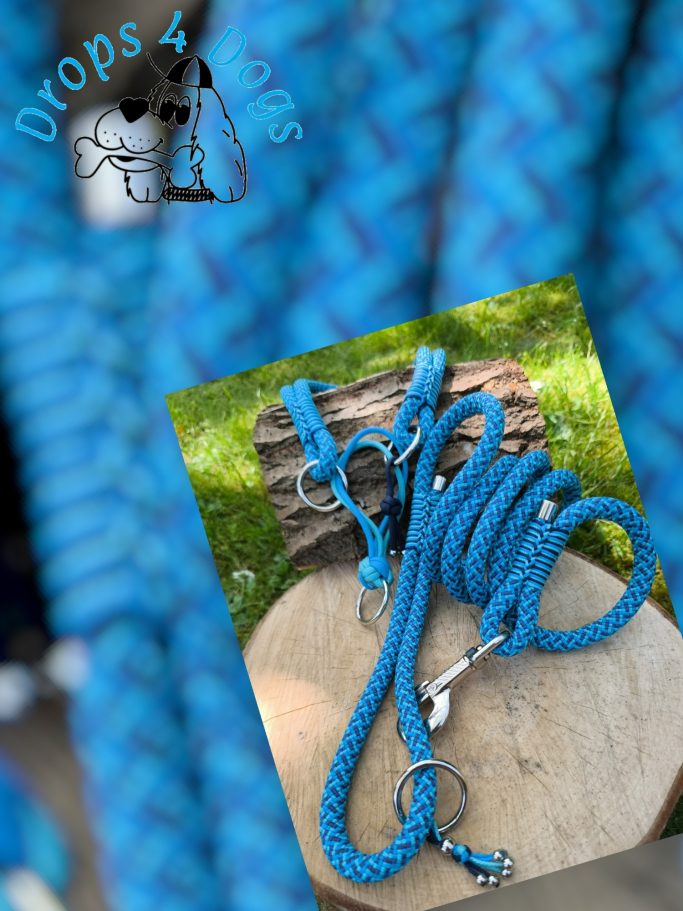 Handgemachtes Hundehalsband und Leinen-Set aus hellblau gemustertem Premium-Tau, dekoriert mit Schmuckperlen auf einem Baumstamm im Garten.