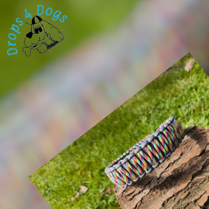 Handgemachtes, bunt geflochtenes Hundehalsband Modell Rainbow Twist aus robustem Paracord auf einer Holzscheibe im Gras.
