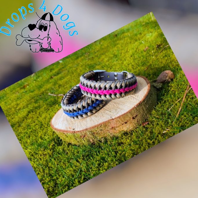 Zwei handgemachte Paracord-Hundehalsbänder Modell Urban Berry mit beiger Flechtung, eines mit pinkem und eines mit blauem Streifen, präsenti